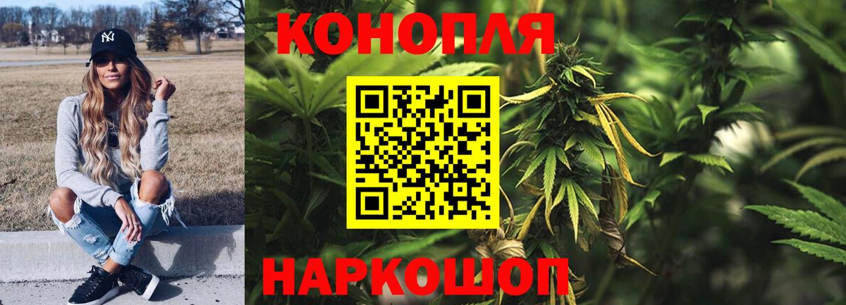 Конопля OG Kush Тайшет